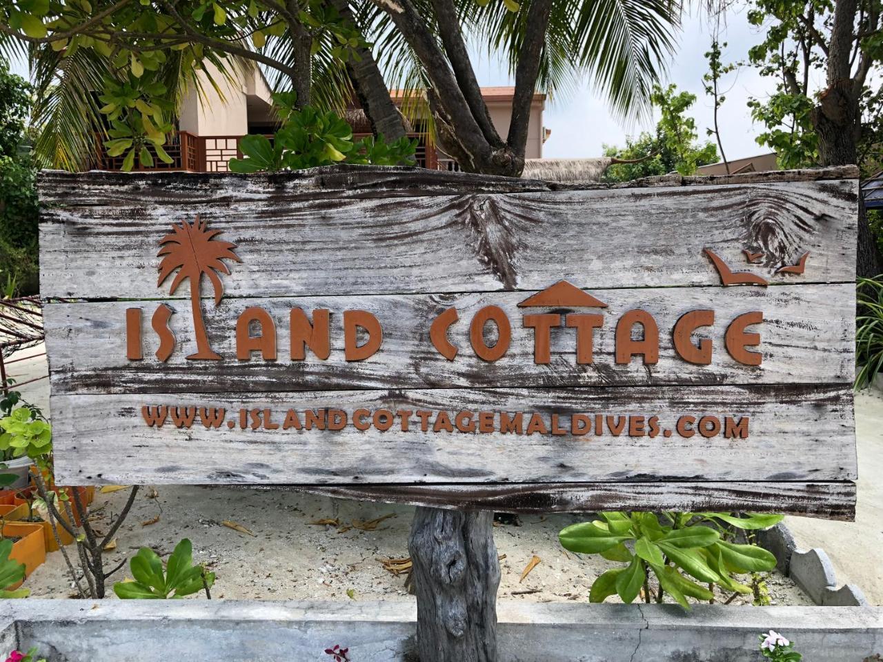 Island Cottage Maafushi Extérieur photo